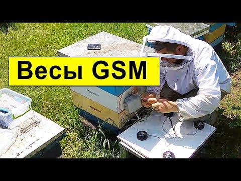 Видео: "НОУ-ХАУ" УСТАНОВИЛ ВЕСЫ GSM НА ПАСЕКУ, ПРИВЕС НА АКАЦИИ