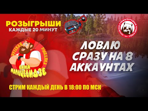 Видео: Играю на 8 аккаунтах. Ловлю трофейного Налима на Волхове, Усачей на Ахтубе, Лещей на Старом Остроге