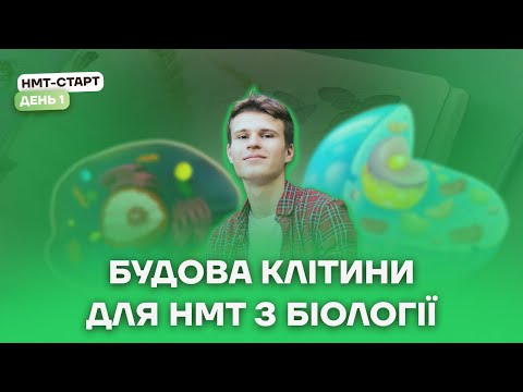 Видео: Будова клітини для НМТ з біології | Біологія НМТ 2024