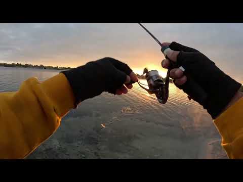 Видео: Розловив Олівію рибою.🔥🔥.Рахуємо і заміряємо улов!! Збір...