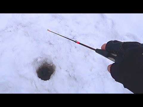 Видео: ОПУСТИЛ БАЛАНСИР между ЖЕРЛИЦ и вот что вышло! Ловля щуки на балансир зимой! Зимняя рыбалка 2021!