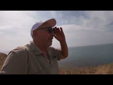 Видео: Пытался поймать саргана