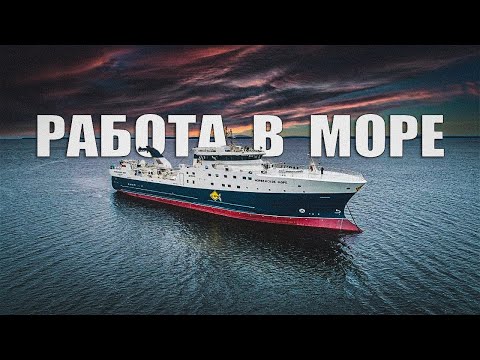 Видео: КАК ПОПАСТЬ В МОРЕ | БЫТ МОРЯКА | ОТЗЫВЫ О НБАМР | СТОИТ ЛИ ХОДИТЬ В МОРЕ | РЕКОМЕНДАЦИИ МАТРОСАМ 🚢