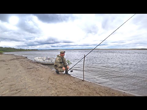 Видео: РЫБАЛКА НА ДОНКУ НА БОЛЬШОЙ РЕКЕ. ЛОВЛЯ РЫБЫ НА ПРОСТУЮ ПРИМАНКУ.