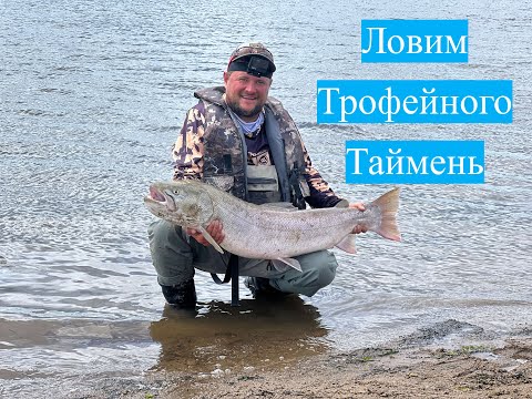 Видео: Ловим трофейного тайменя #таймень #рыбалка #сахалин #туризм