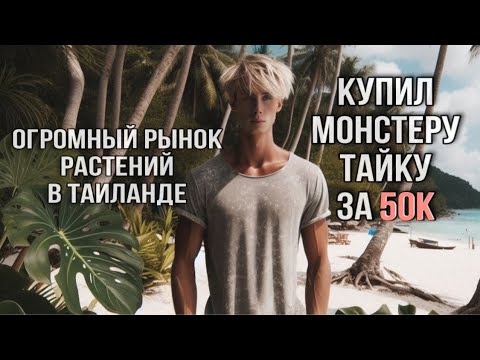 Видео: РЫНОК ТРОПИЧЕСКИХ РАСТЕНИЙ В ТАИЛАНДЕ, ПАТТАЙЯ 🪴КУПИЛ МОНСТЕРУ ТАЙСКОЕ СОЗВЕЗДИЕ ЗА 50.000 😱