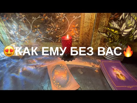 Видео: 10 ноября 2025 г.