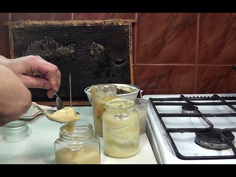 Видео: ЧУДО МАЗЬ из воска и желтка от 100 Болезней