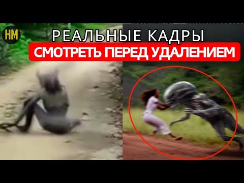 Видео: Мексика потрясла мир, раскрыв запрещённое видео — документальный фильм за пределами воображения