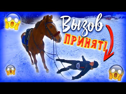 Видео: ВЫЗОВ ПРИНЯТ 2 Конная версия / Зимний Челлендж