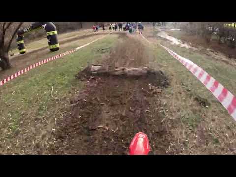 Видео: Николина Балка.Бронза 23.11.24г.