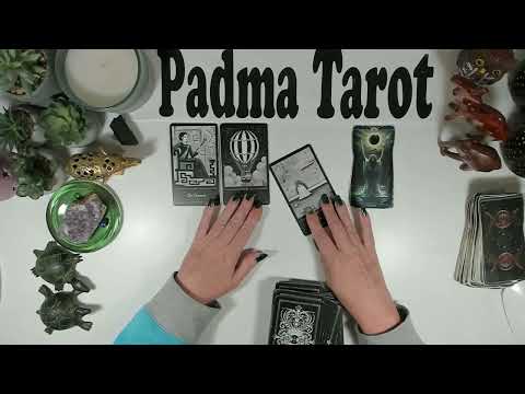 Видео: ЛЕВ♌️ ПРИГОТОВЬТЕСЬ, ЭТО ПРОИСХОДИТ! 20-26 ОКТЯБРЯ КАРЬЕРА И ФИНАНСЫ 💰 Еженедельное гадание на ка...