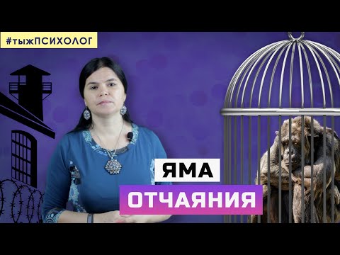 Видео: "Яма отчаяния", социальная изоляция и одиночество // ты ж ПСИХОЛОГ