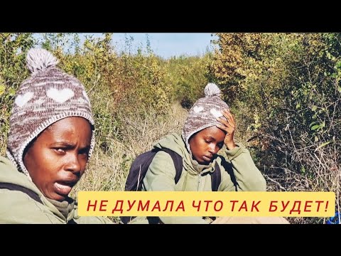 Видео: 213. Хади пародирует наших хейтеров и параллельных блогеров.