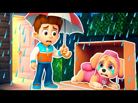 Видео: РАЙДЕР ПРИЮТИЛ БЕЗДОМНУЮ СКАЙ ЩЕНЯЧИЙ ПАТРУЛЬ в МАЙНКРАФТ