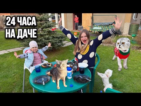 Видео: влог: 24 ЧАСА НА ДАЧЕ! КОМНАТА ДЛЯ КОТОВ, ШАШЛЫК, МАРУСЯ СЧАСТЛИВА!
