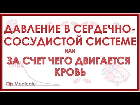 Видео: Давление в сердечно-сосудистой системе: движение крови, изменение давления в различных сосудах