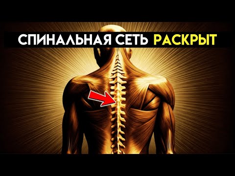 Видео: Этот тонкий код в позвоночнике пробуждает целительные волны, о которых никто не говорит