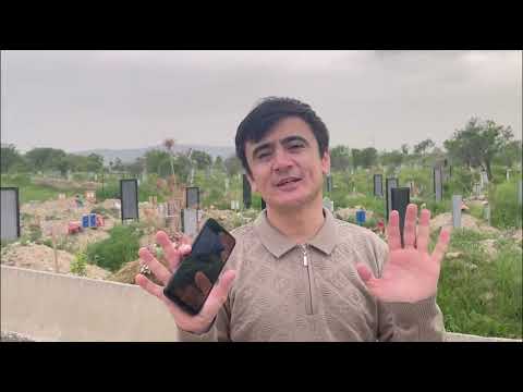 Видео: #газантарак