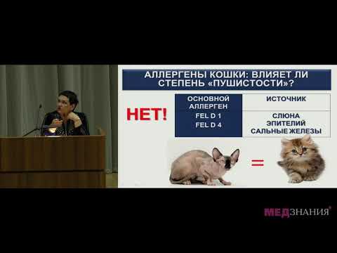 Видео: Аллергический ринит – что нужно знать врачу-педиатру. Захарова И.Н.