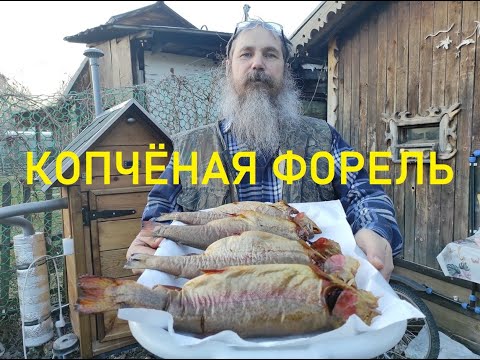 Видео: Копчёная форель.Рыба горячего копчения.