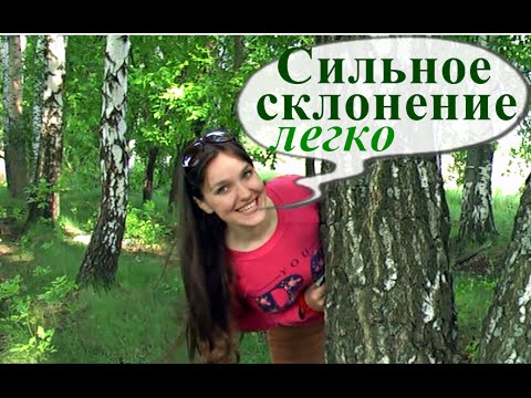 Видео: Сильное склонение прилагательных. Уроки немецкого. Немецкий язык.