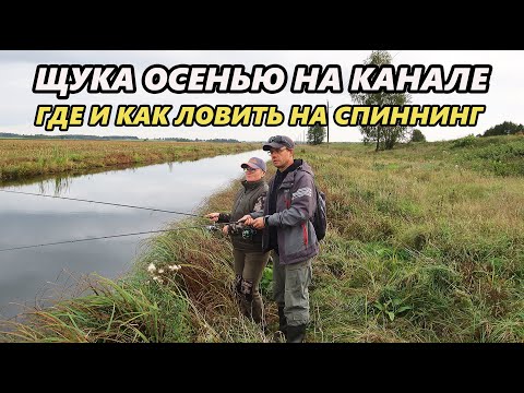 Видео: Щука осенью на канале. Где и как ловить на спиннинг