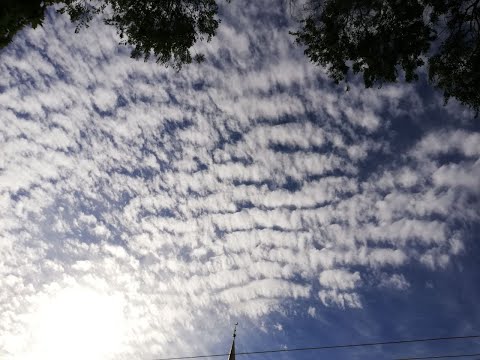 Видео: Беседа по сутте СН1.49 / Трудно ли не попасть в ад согласно Дхамме?