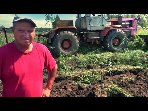 Видео: ТРАКТОРИСТ ПОКАЗАЛ ГДЕ МОНЕТЫ 💰 ЗОЛОТО, СЕРЕБРО.