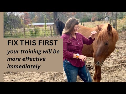Видео: Действительно ли ваша лошадь в седле? 3 способа узнать (и почему это важно)