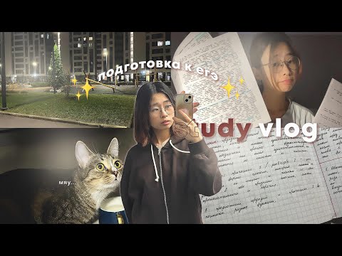 Видео: 16. [ study vlog ] 🍡 подготовка к егэ 2025 / обществознание / математика
