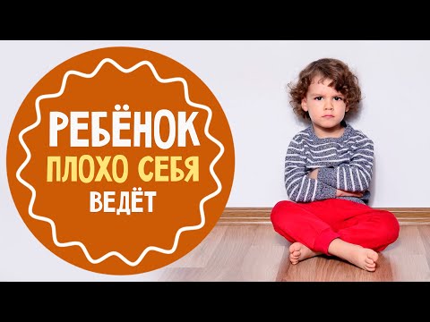 Видео: 4 причины плохого поведения детей