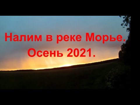 Видео: Налим в реке Морье. Осень 2021. 09 - 10 ноября.