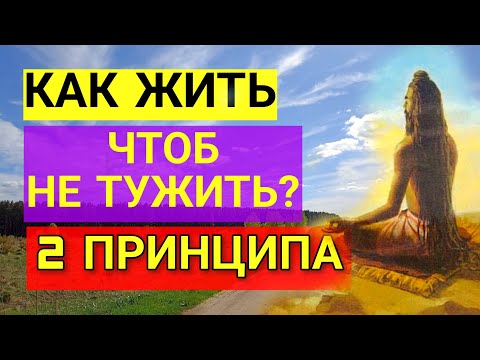 Видео: Кто-нибудь знает, как ЖИТЬ правильно?