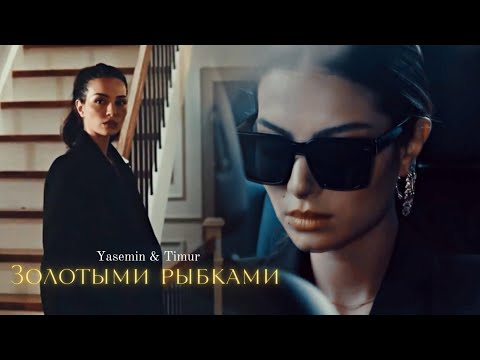 Видео: ►Yasemin & Timur [+Adem] | Новая жизнь | Золотыми рыбками