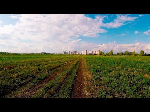 Видео: Волгарь, Сухая Самарка...