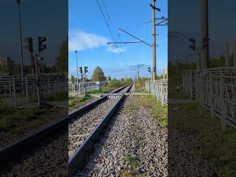 Видео: Вот прямо ПОЗОР!!!бывший Леруа Мерлен..а сейчас Лемана ПРО..по.Культуры д.47.Спб.Бугры.