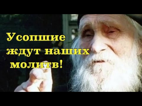 Видео: Усопшие ждут наших молитв! Старец Николай Гурьянов