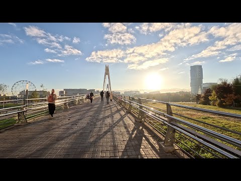 Видео: г. Красногорск, Московская область, 26.10.2024 / Krasnogorsk, Moscow region