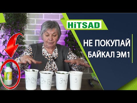 Видео: Почему Байкал ЭМ-1 уже не тот ✔️