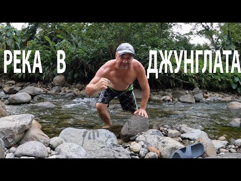 Видео: РЕКА В ДЖУНГЛАТА И ГУАВА С ИГУАНИ #nature #forageharvest #caribbean #travel #пътешествие