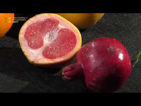 Видео: Мастер-класс художника Анны Терещенковой "Натюрморт в технике а-ла прима по мокрому". 1 часть.