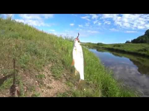 Видео: Рыбалка в Подтесово. Река Чермянка. (День первый 23.07.2017)