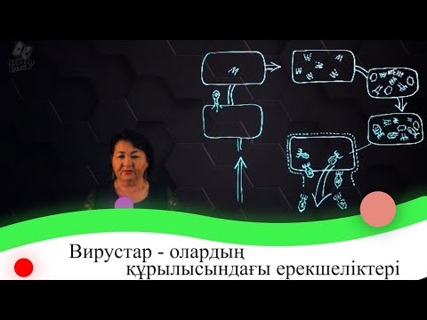Видео: Вирустар - олардың құрылысындағы ерекшеліктері. 7 сынып.