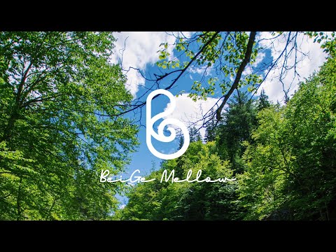 Видео: Лесной пикник 🌿 свежая фортепианная музыка для поднятия настроения