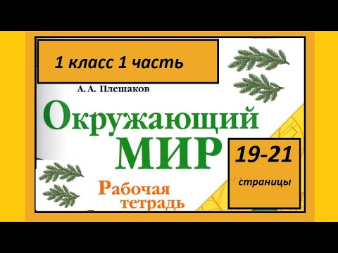 Видео: Окружающий мир 1 класс Что такое хвоинки? страница 19-21.