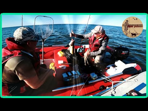 Видео: Много рыбы море эмоций .Рыбалка и отдых на рыбинском водохранилище.