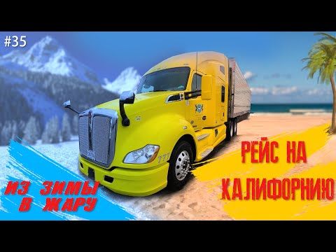 Видео: Сырный рейс в Калифорнию! Vlog 35