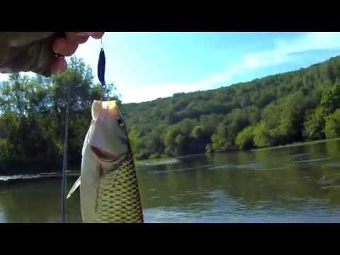 Видео: Голавль на микроколебалки ручной работы