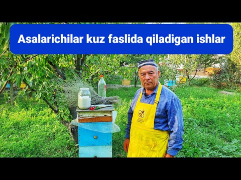 Видео: Asalarichilar Kuz faslida qiladigan ishlar, Асаларичилар куз фаслида киладиган ишлар full hd